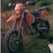 DenBelgium520