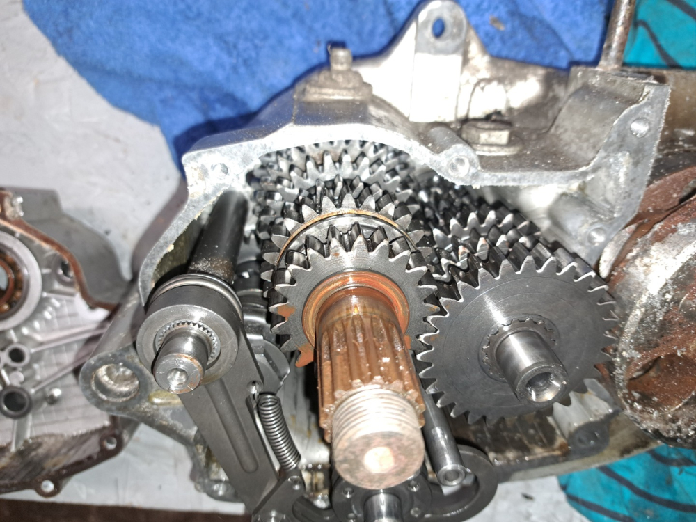 Rénovation KTM 250 ISDT 1976 du plat pays
