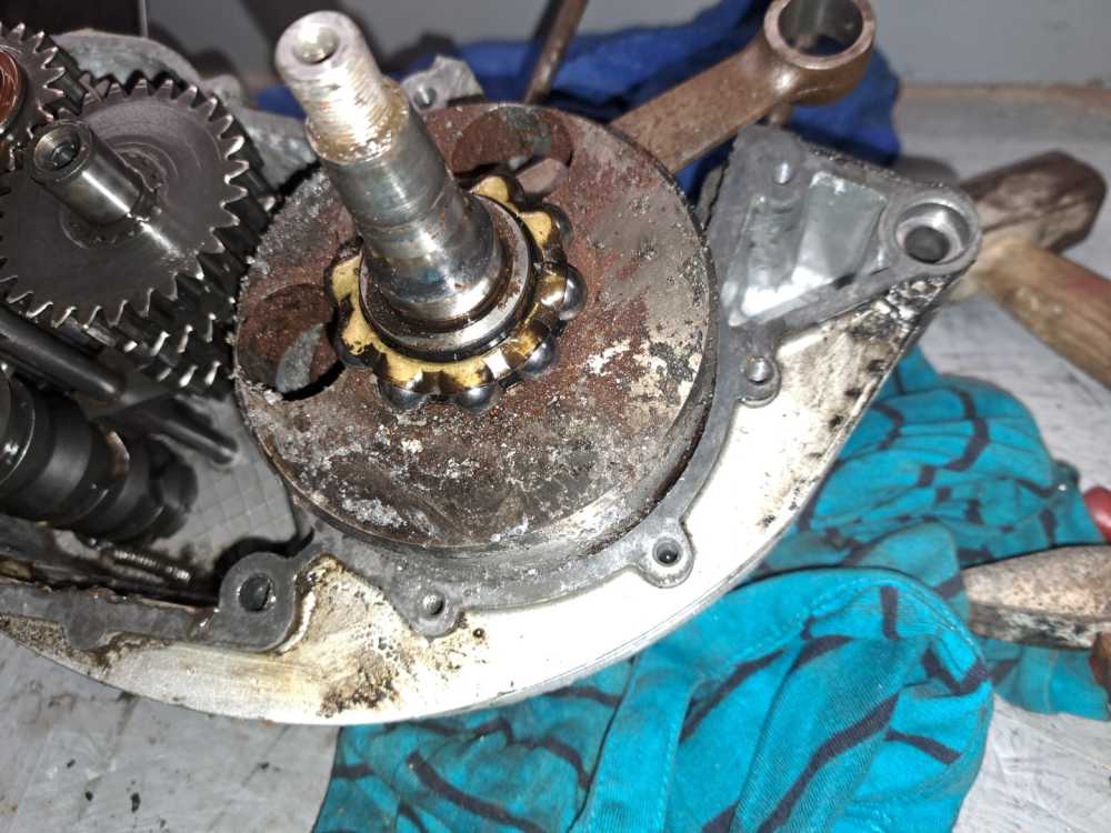 Rénovation KTM 250 ISDT 1976 du plat pays